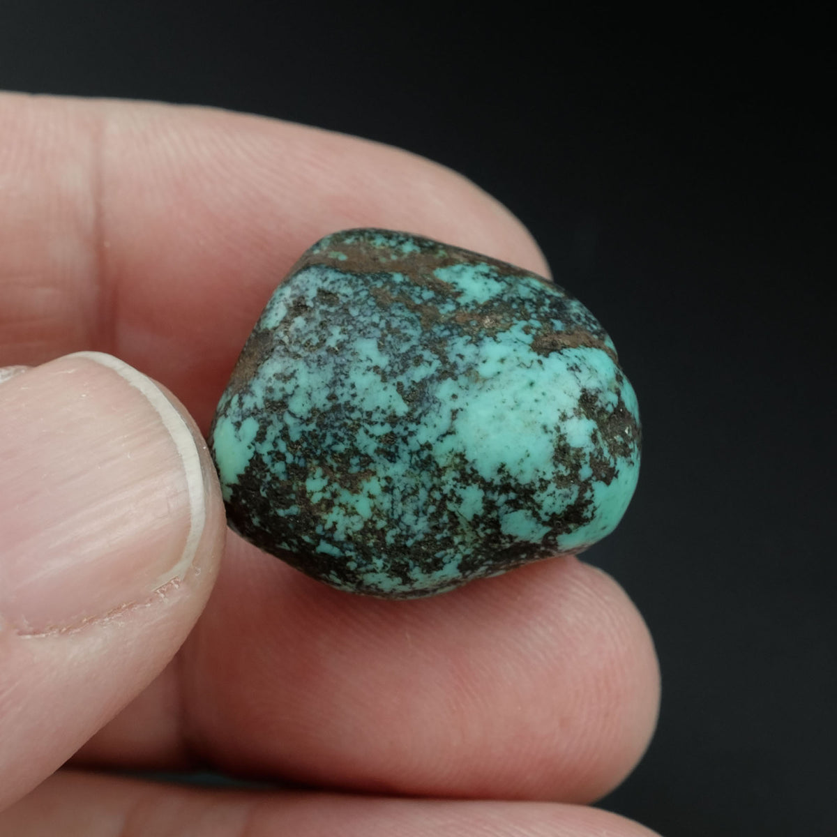 turquoise-beads-bea-368-