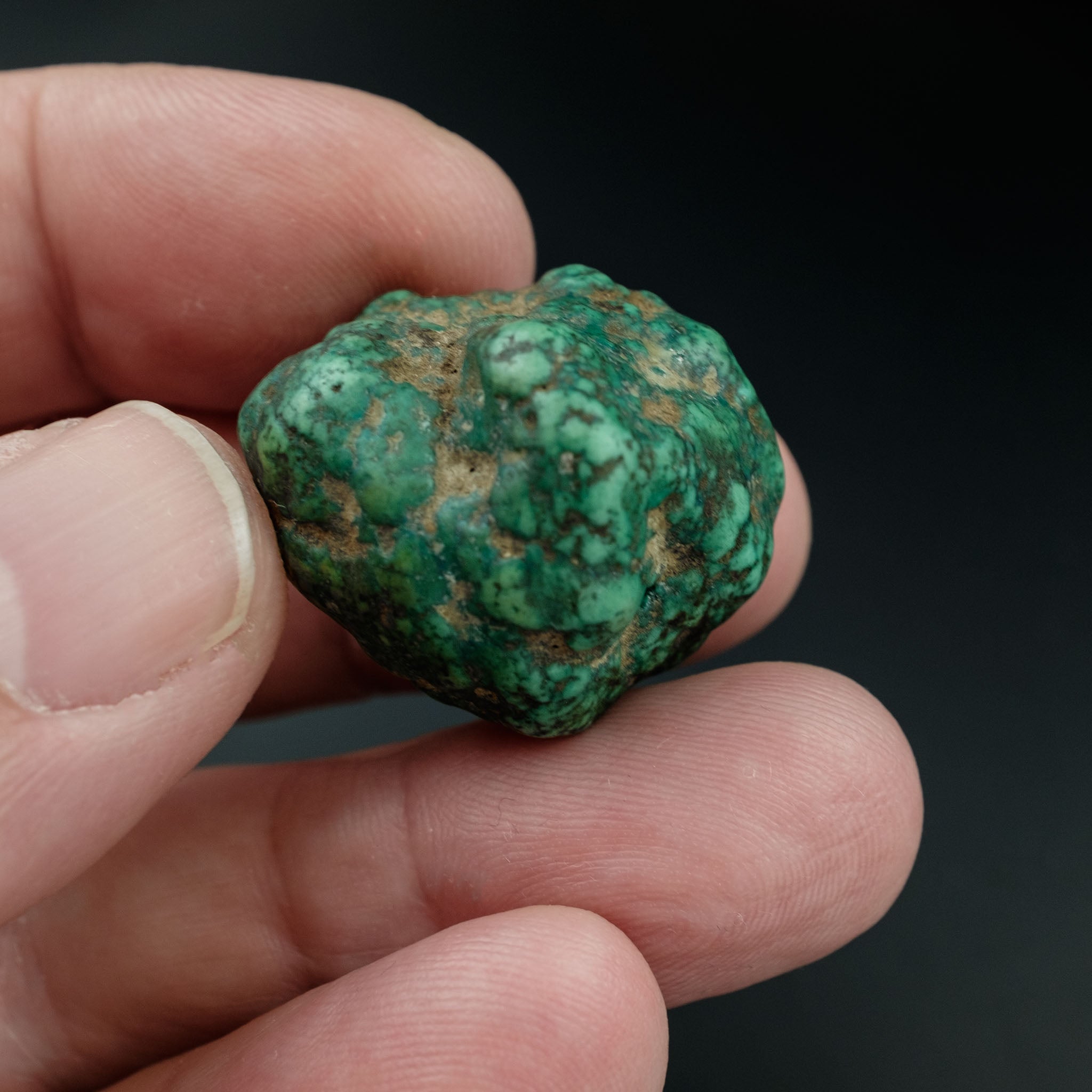 Antique Tibetan Turquoise Bead 14.6 g