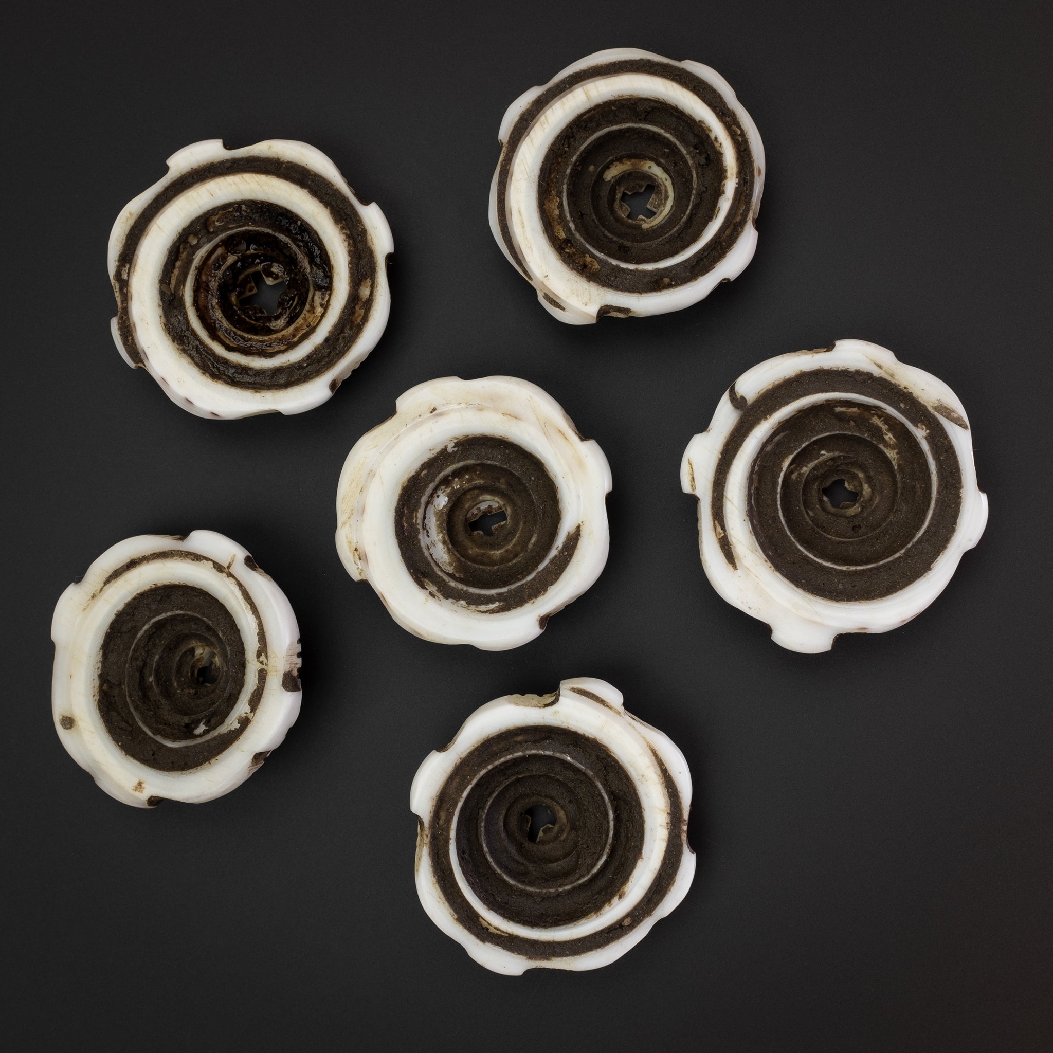 Old Carved Conus Shell Beads, Mauritania