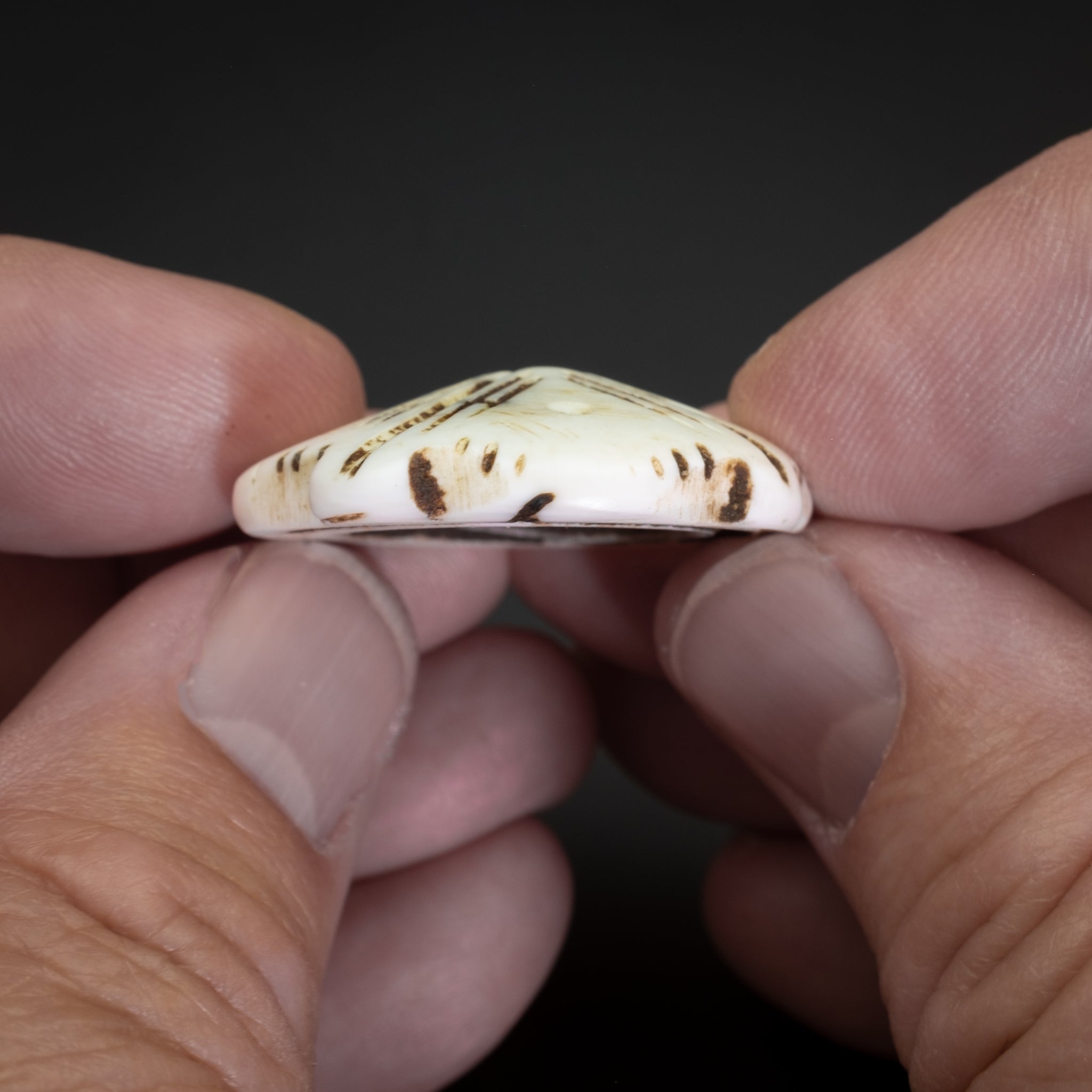 Old Carved Conus Shell Beads, Mauritania